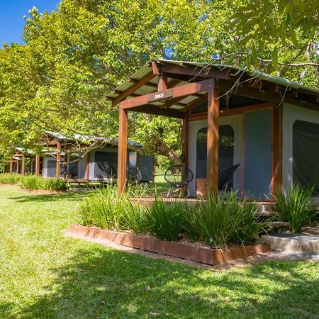 Noah Creek Eco Huts Villa Cape Tribulation Bagian luar foto